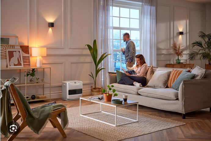 Piecyki elektryczne - laserowe komfort i ekonomia